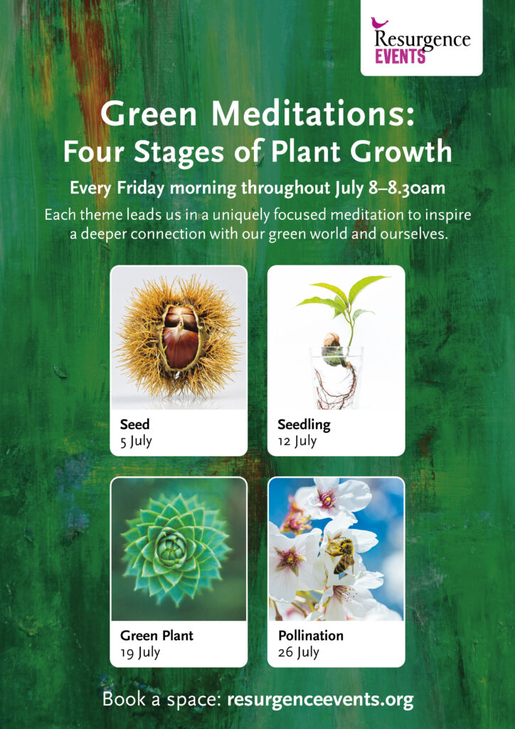 green meditations plant growth